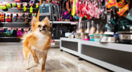 Pet Shop